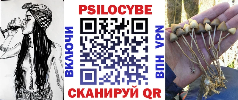 Галлюциногенные грибы ЛСД  нарко площадка клад  Шумиха  где купить наркоту  кракен маркетплейс 